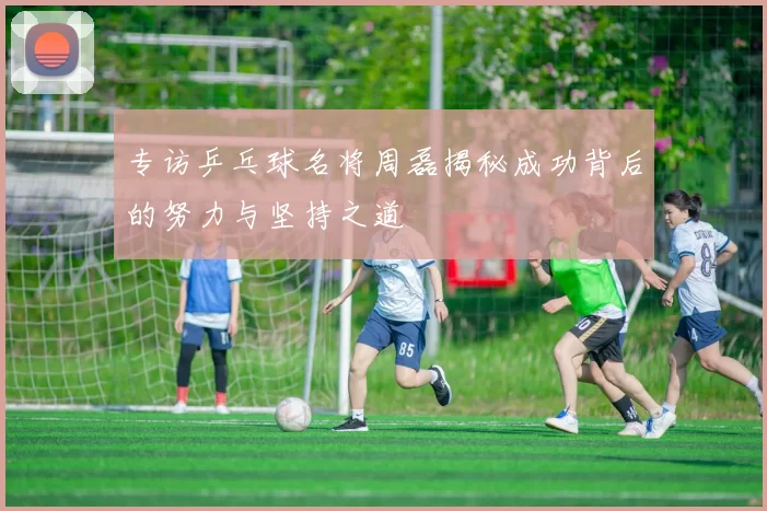 专访乒乓球名将周磊揭秘成功背后的努力与坚持之道